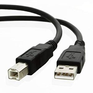 USB Cable, 10', 2.0 S Male to B Male